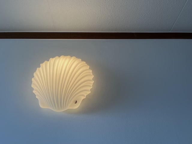 貝殻の照明